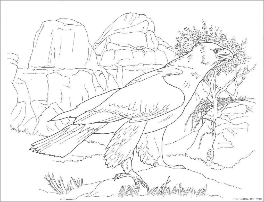 Adult Animals Coloring Pages bird desert animal for adult Printable 2020 130 Coloring4free