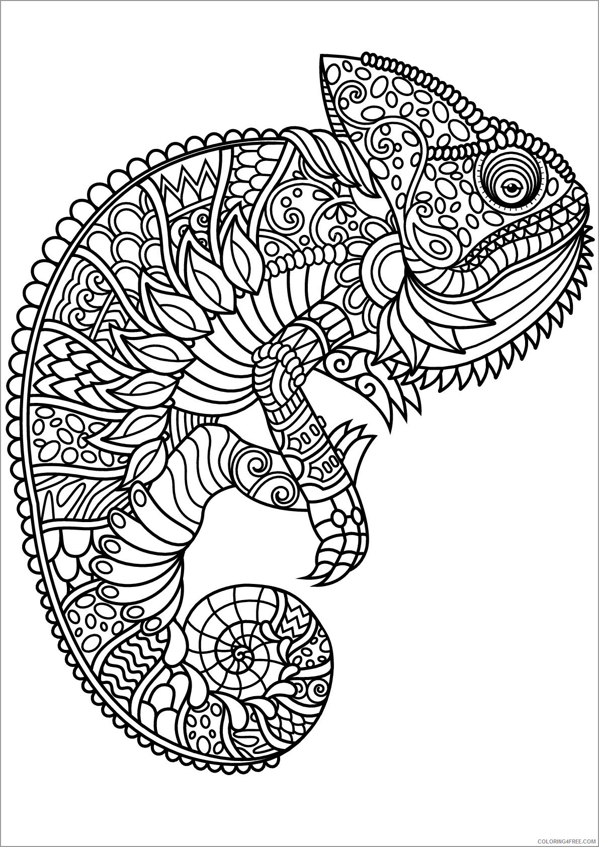 Adult Animals Coloring Pages chameleon lizards for adult Printable 2020 134 Coloring4free