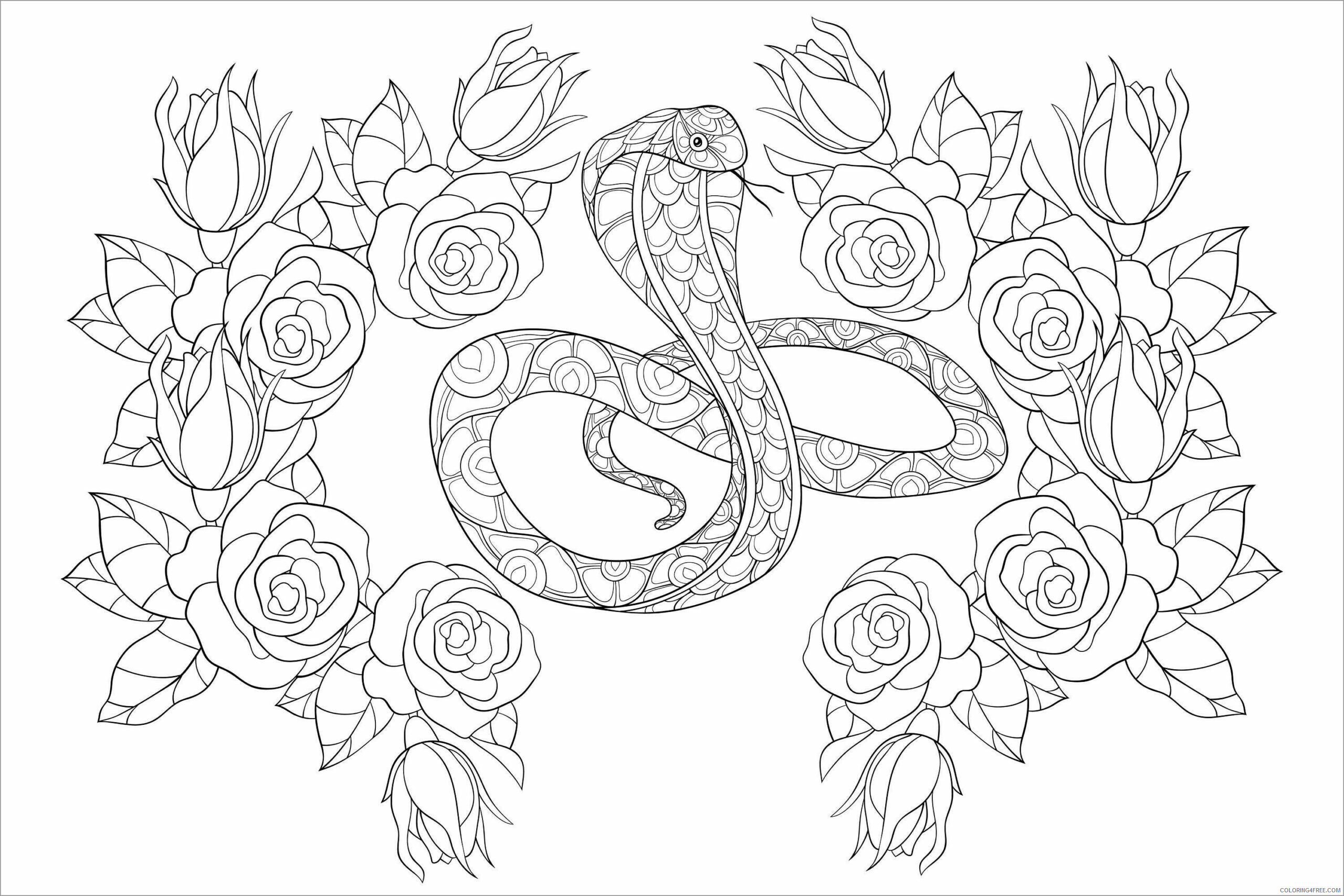 Adult Animals Coloring Pages cobra for adult Printable 2020 138 Coloring4free