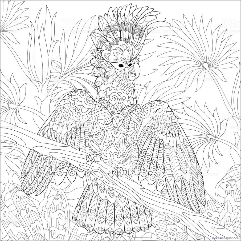 Adult Animals Coloring Pages cockatoo for adult Printable 2020 139 Coloring4free