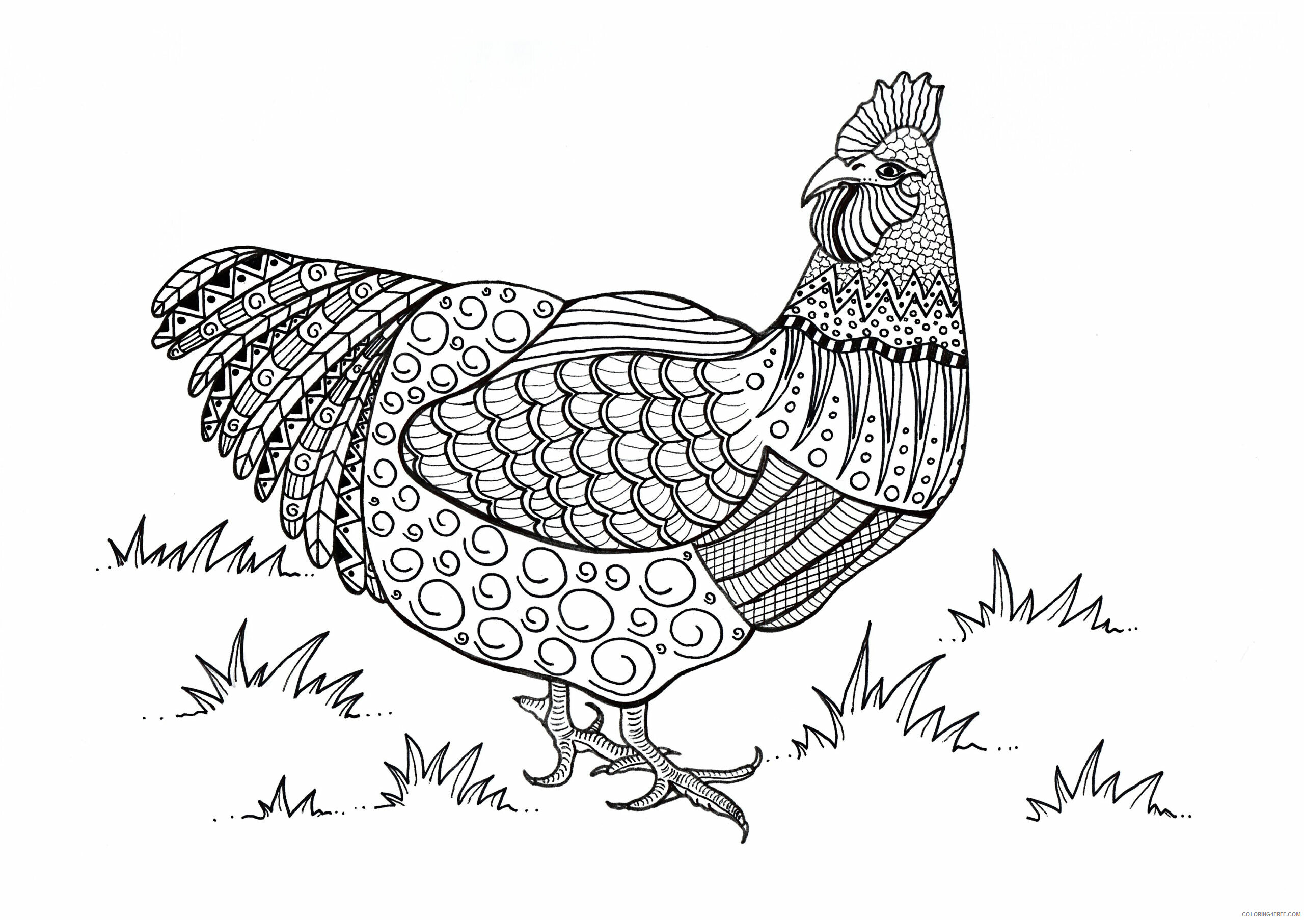 Adult Animals Coloring Pages colorful chicken adult Printable 2020 084 Coloring4free