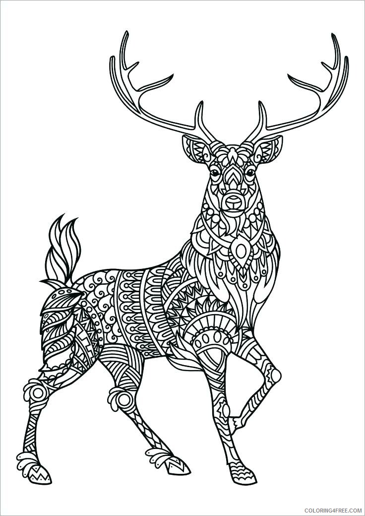 Adult Animals Coloring Pages for Adults Online Printable 2020 140 Coloring4free