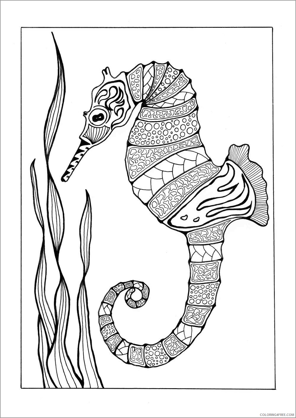 Adult Animals Coloring Pages free seahorse for adults Printable 2020 154 Coloring4free