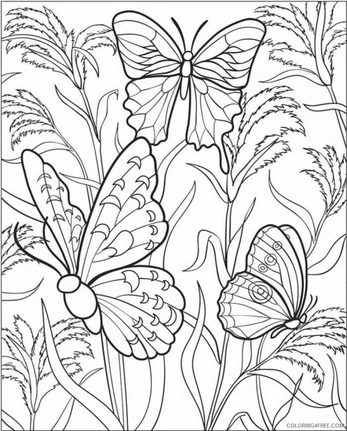 Adult Butterfly Coloring Pages Beautiful Butterfly for Adults Printable 2020 177 Coloring4free