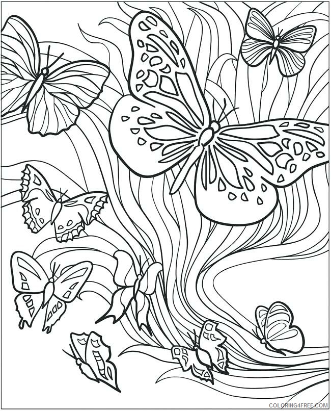 Adult Butterfly Coloring Pages Butterfly Adult Printable 2020 184 Coloring4free