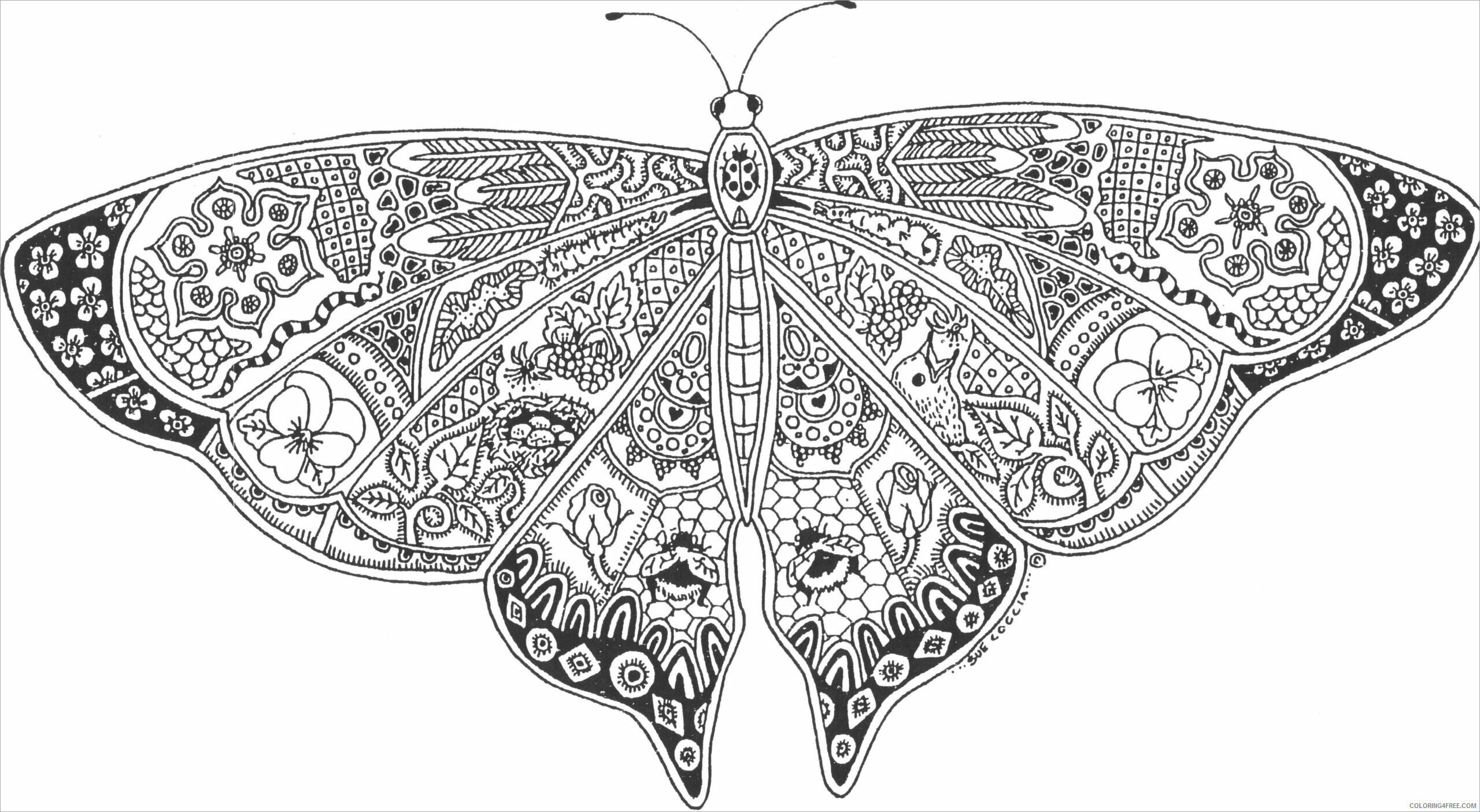 Adult Butterfly Coloring Pages butterflies for adults Printable 2020 178 Coloring4free