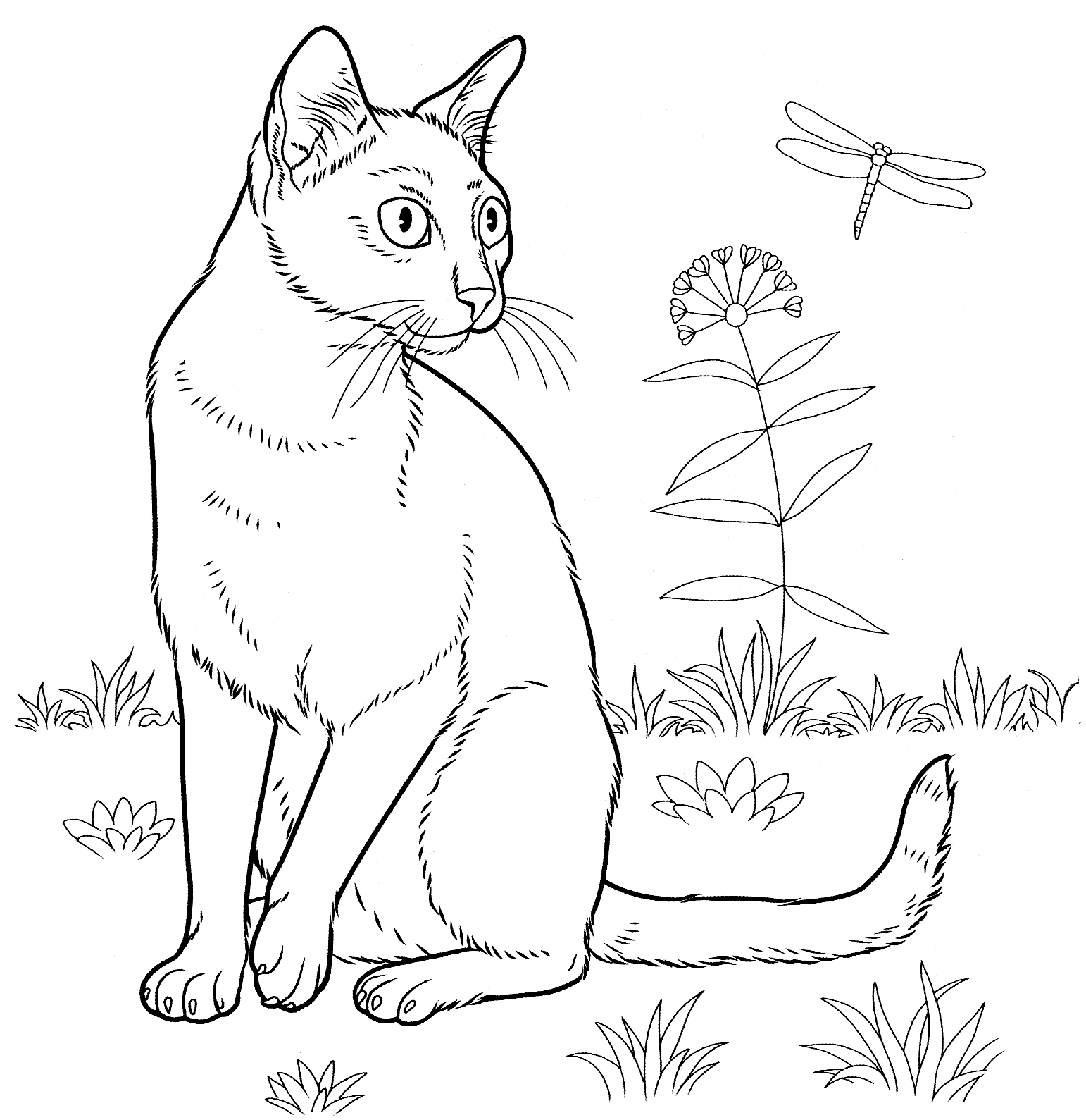Adult Cat Coloring Pages Curious Cat for Adults Printable 2020 205 Coloring4free