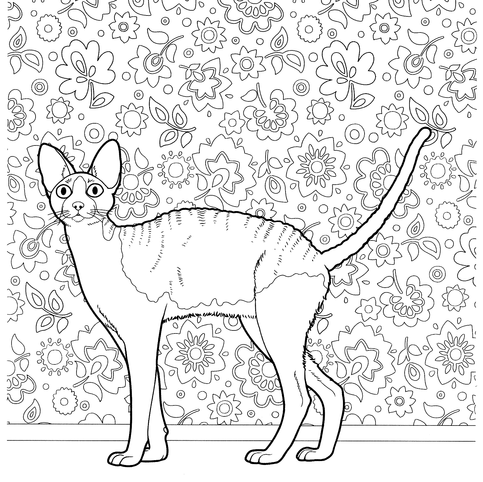 Adult Cat Coloring Pages Hairless Cat for Adults Printable 2020 212 Coloring4free