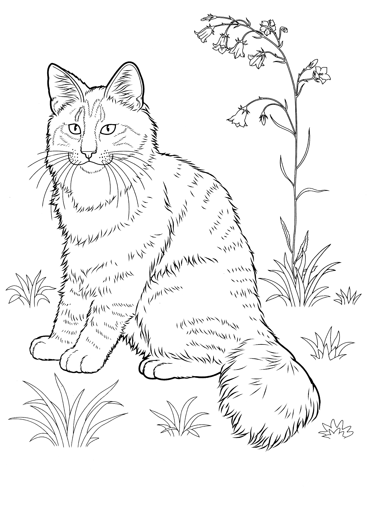 Adult Cat Coloring Pages Striped Cat for Adults Printable 2020 219 Coloring4free