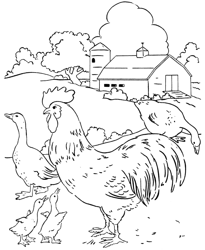 Adult Coloring Pages Easy Farm for Adults Printable 2020 020 Coloring4free
