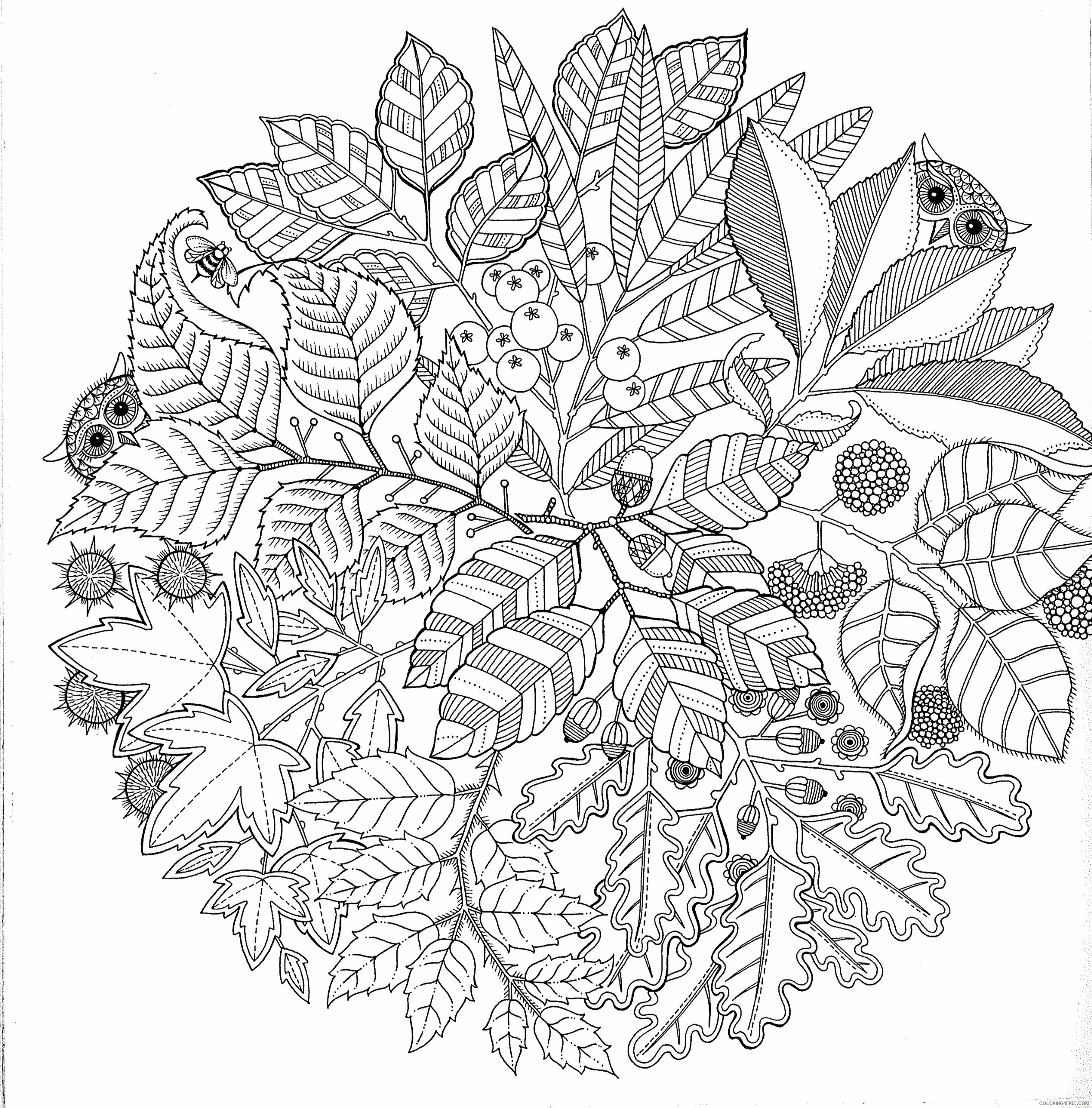 Adult Coloring Pages adult Printable 2020 003 Coloring4free