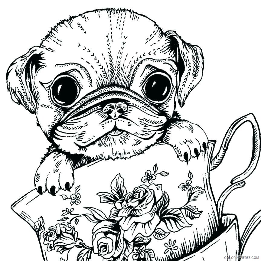 Adult Dog Coloring Pages Cute Dog for Adults Printable 2020 226 Coloring4free