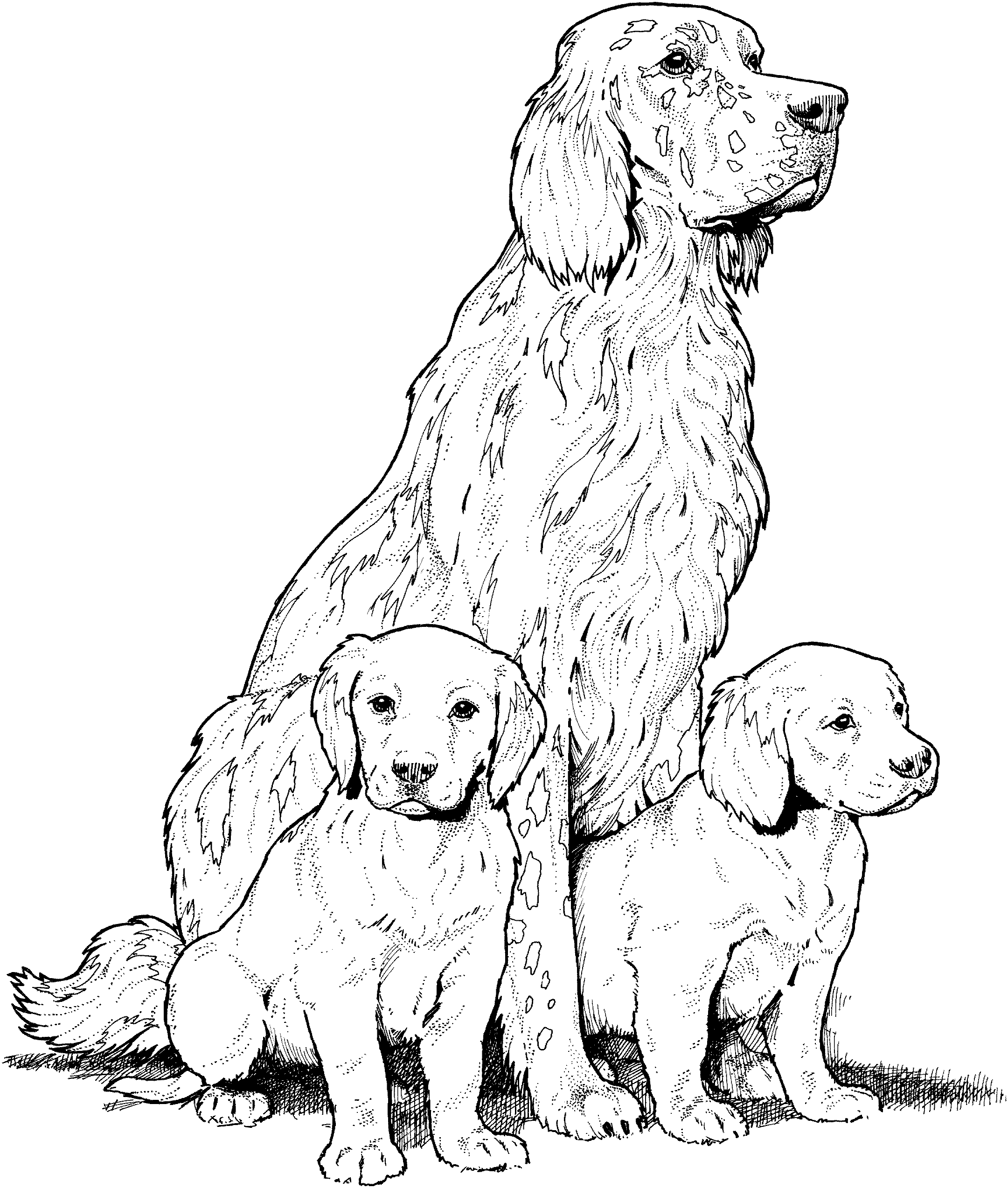 Adult Dog Coloring Pages Dog for Adults Printable 2020 229 Coloring4free