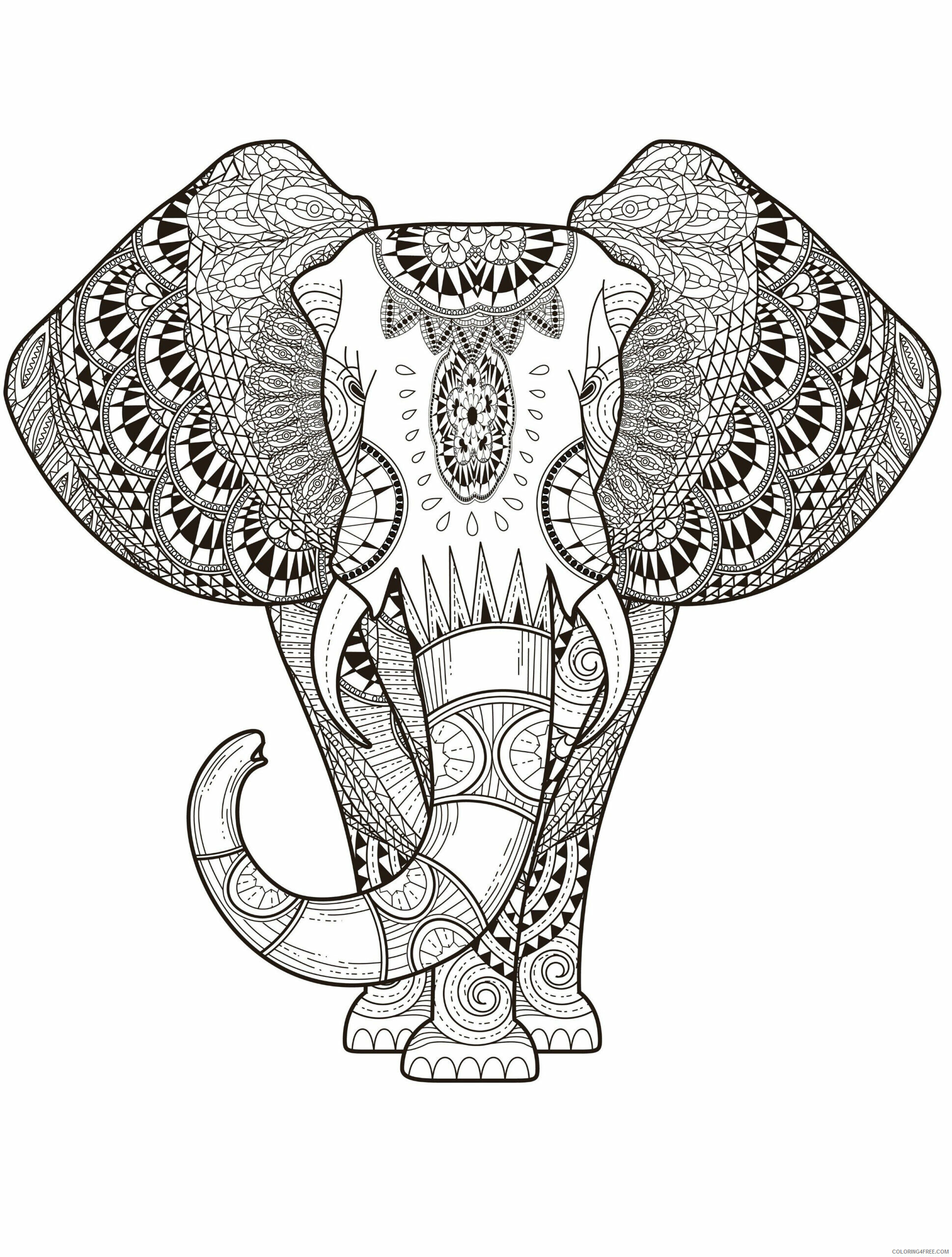 Adult Elephant Coloring Pages Elephant for Adults 2 Printable 2020 264 Coloring4free
