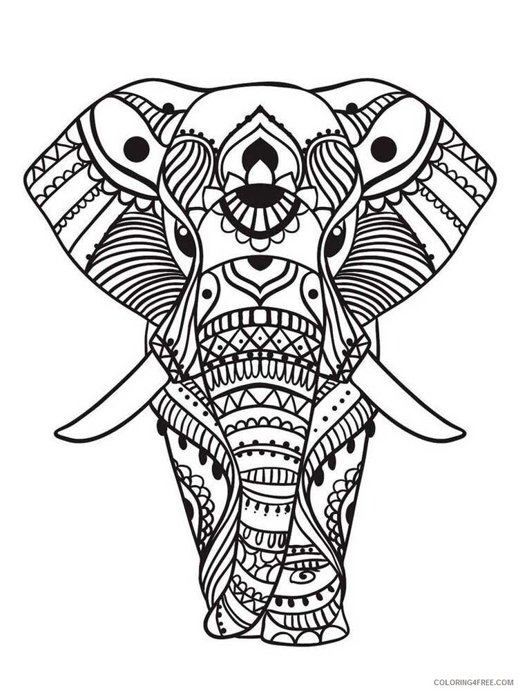 Adult Elephant Coloring Pages elephant for adults 14 Printable 2020 271 Coloring4free