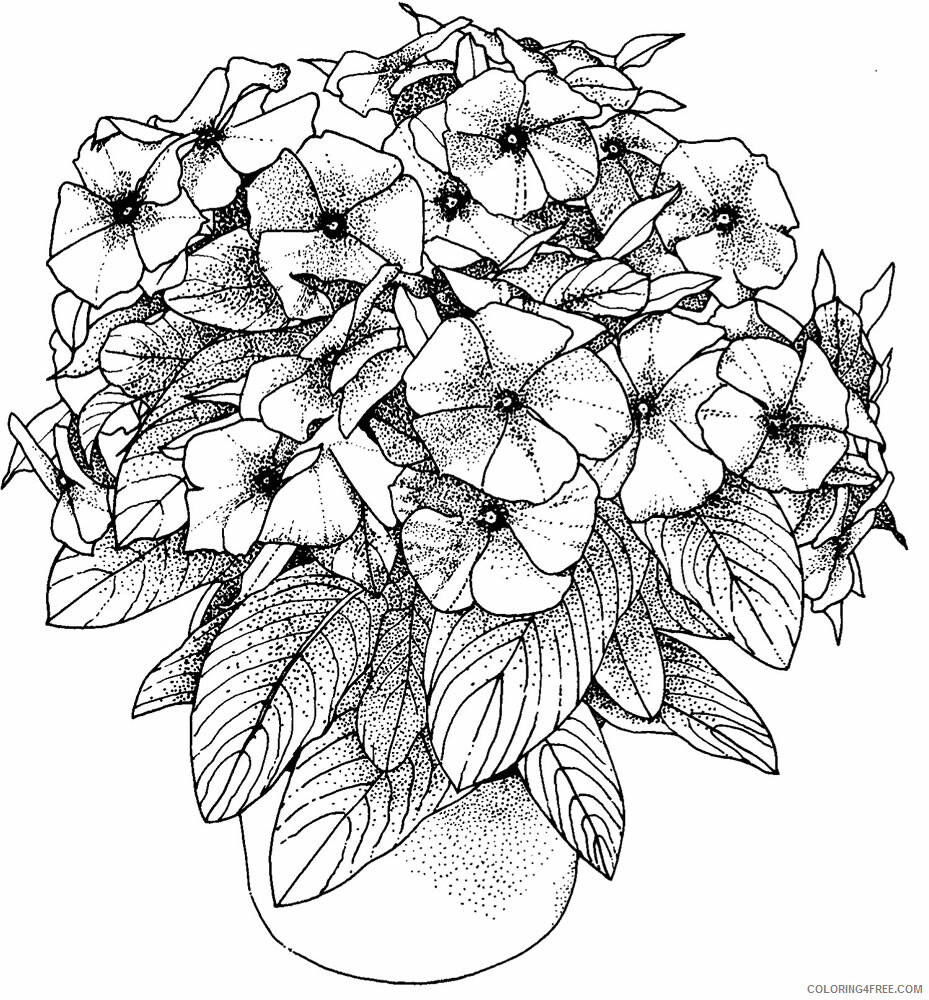 Adult Floral Coloring Pages Free Flower for Adults Printable 2020 368 Coloring4free