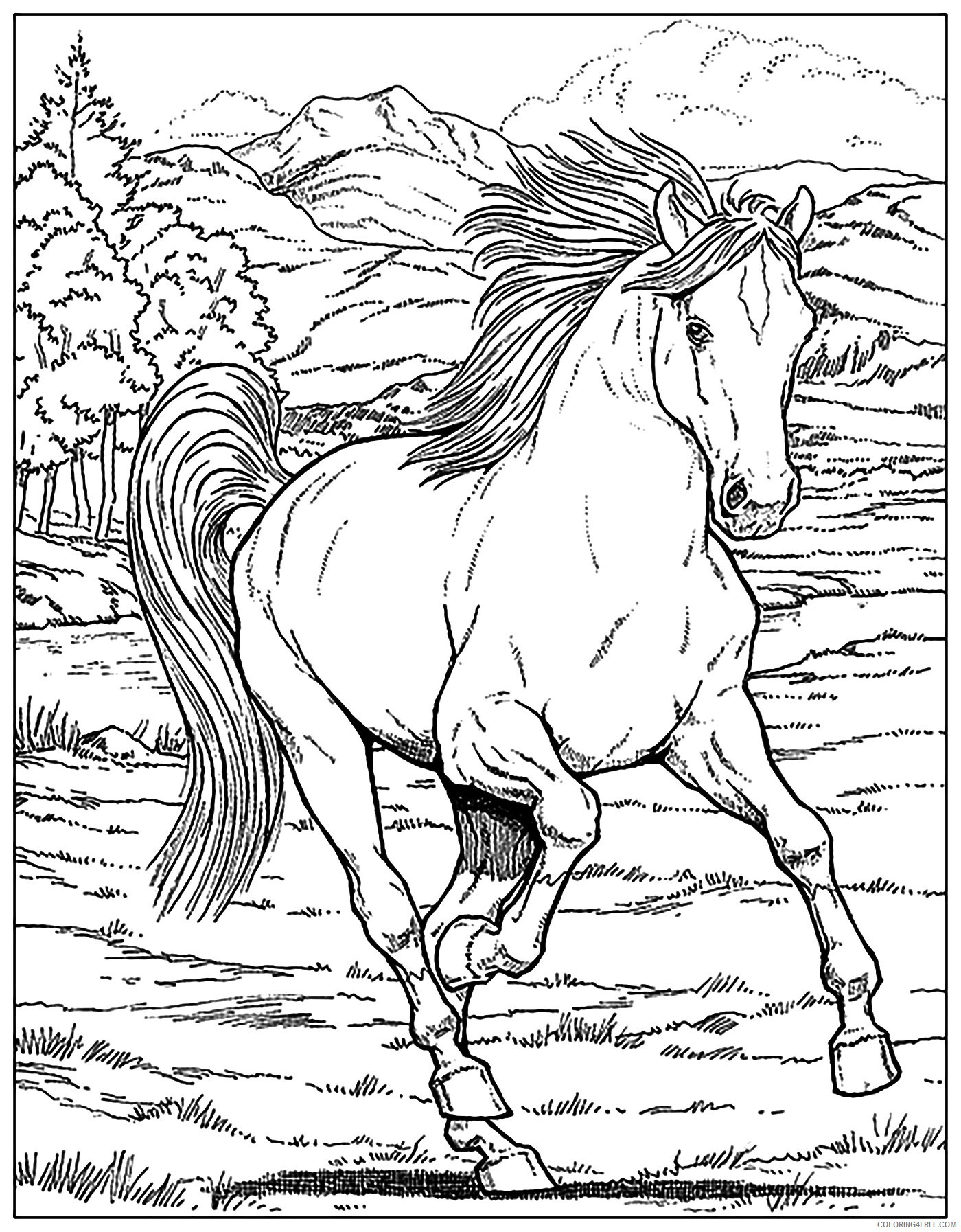 Adult Horse Coloring Pages Horse for Adults 2 Printable 2020 397 Coloring4free