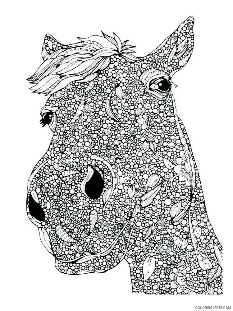 Adult Horse Coloring Pages horse for adults 11 Printable 2020 402 Coloring4free