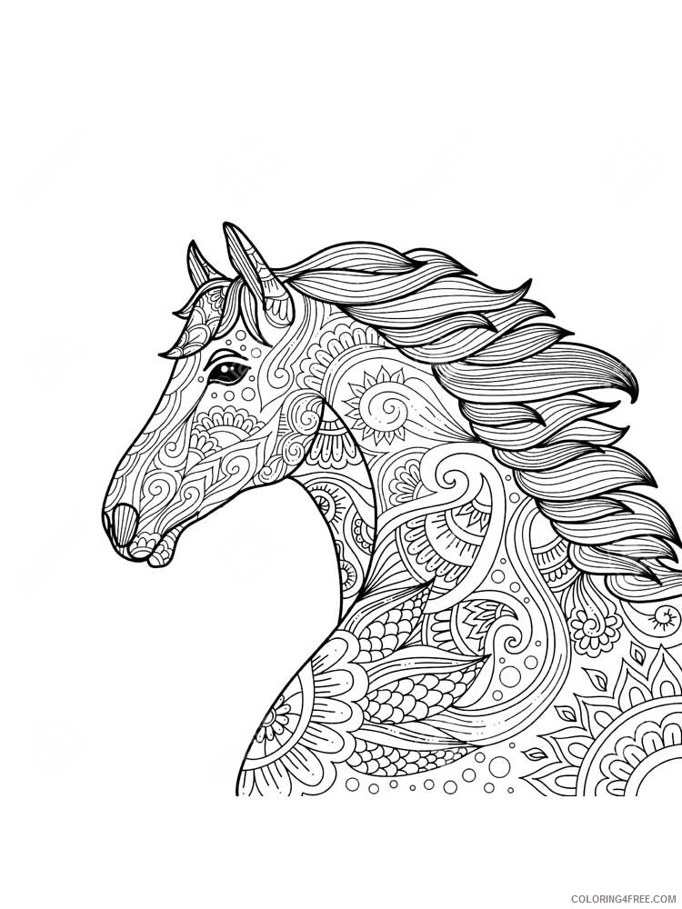 adult horse coloring pages horse for adults 2 printable 2020