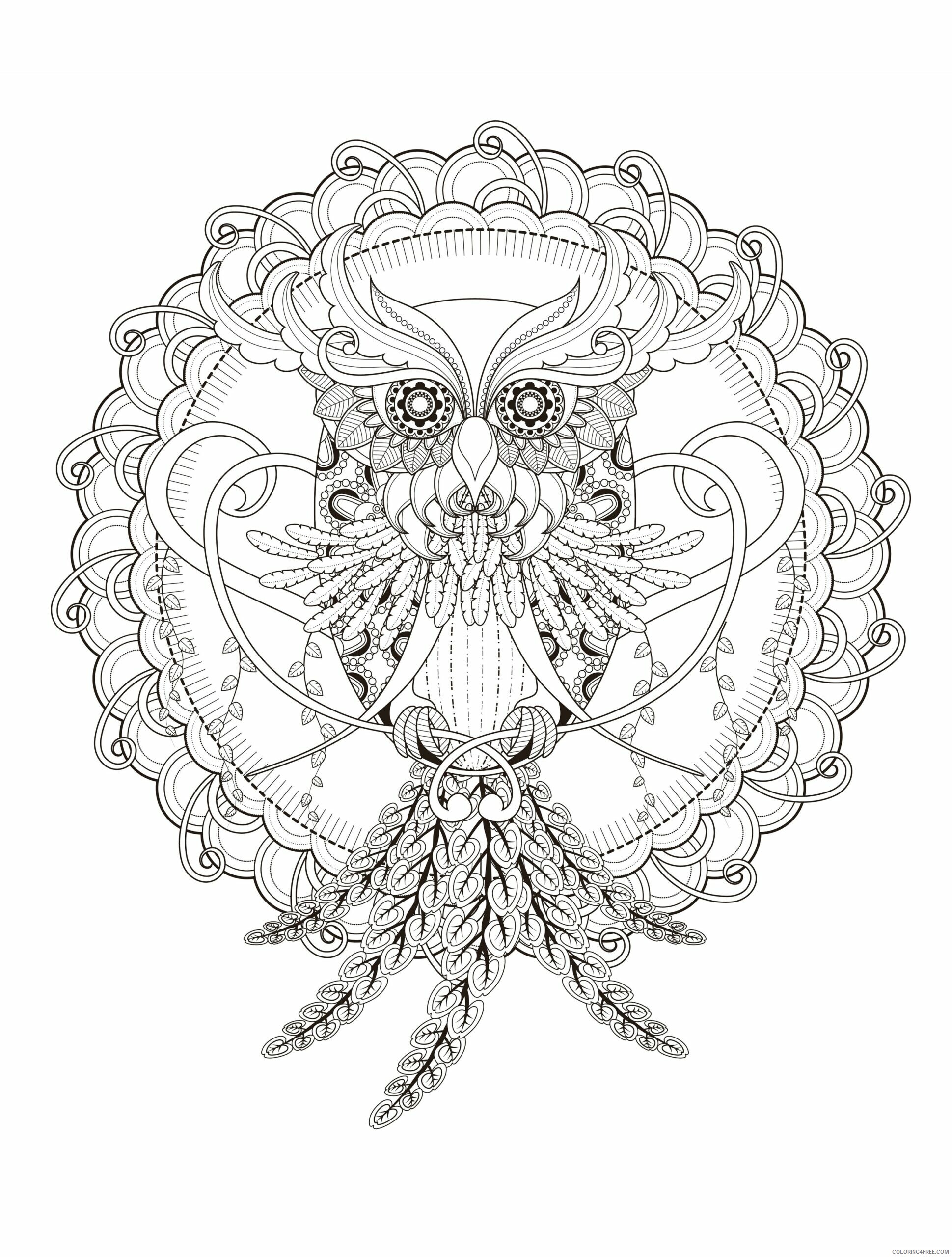 Adult Owl Coloring Pages Print Free Owl for Adults Printable 2020 455 Coloring4free