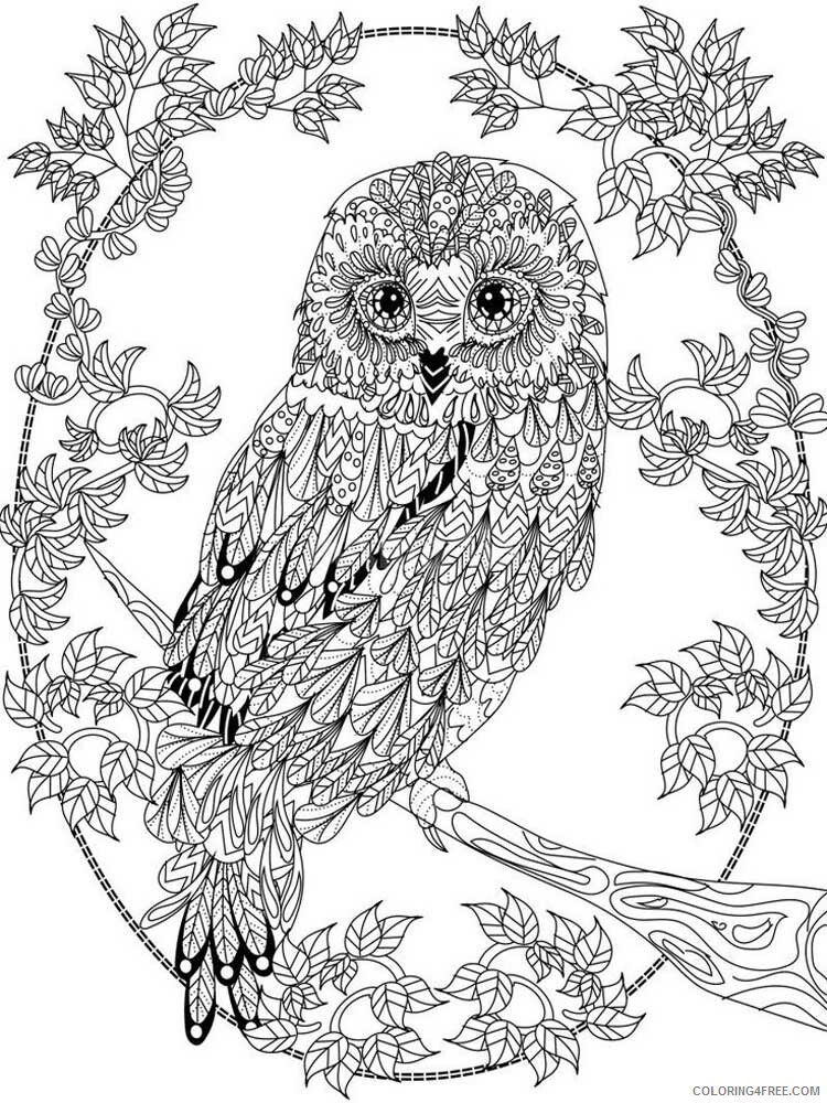 Adult Owl Coloring Pages owl for adults 10 Printable 2020 436 Coloring4free