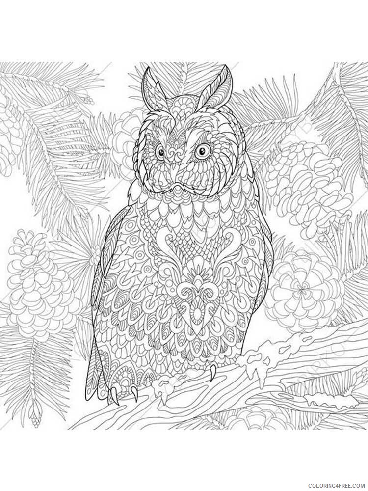 Adult Owl Coloring Pages owl for adults 11 Printable 2020 437 Coloring4free