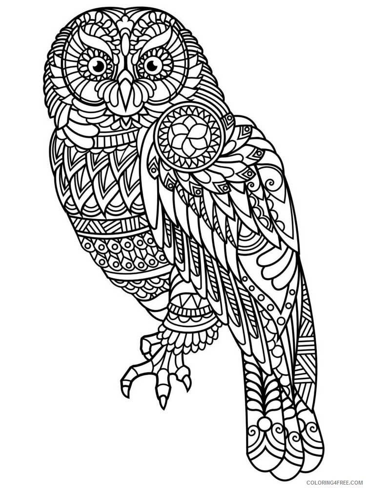 Adult Owl Coloring Pages owl for adults 19 Printable 2020 443 Coloring4free