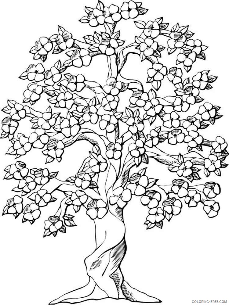 Adult Tree Coloring Pages adult tree 12 Printable 2020 491 Coloring4free