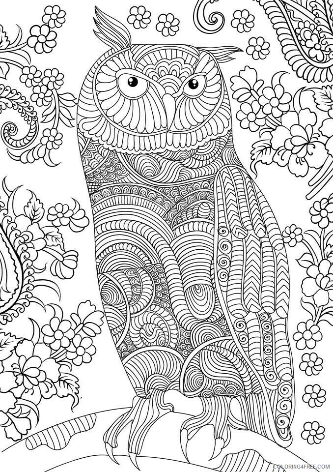 Advanced Coloring Pages Adult Free Advanced Owl for Adults Printable 2020 067 Coloring4free