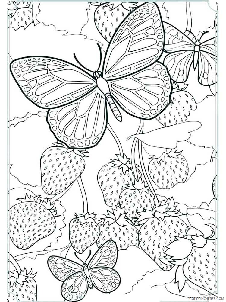 Butterfly for Adults Coloring Pages butterfly for adults 12 Printable 2020 534 Coloring4free
