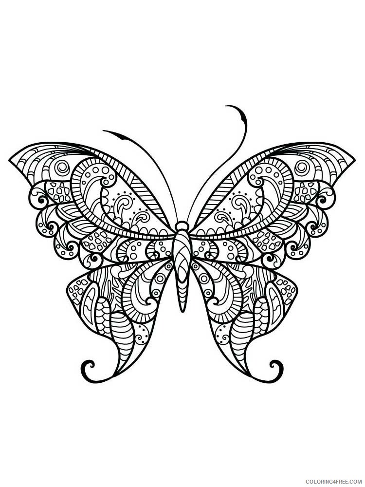 Butterfly for Adults Coloring Pages butterfly for adults 18 Printable 2020 539 Coloring4free