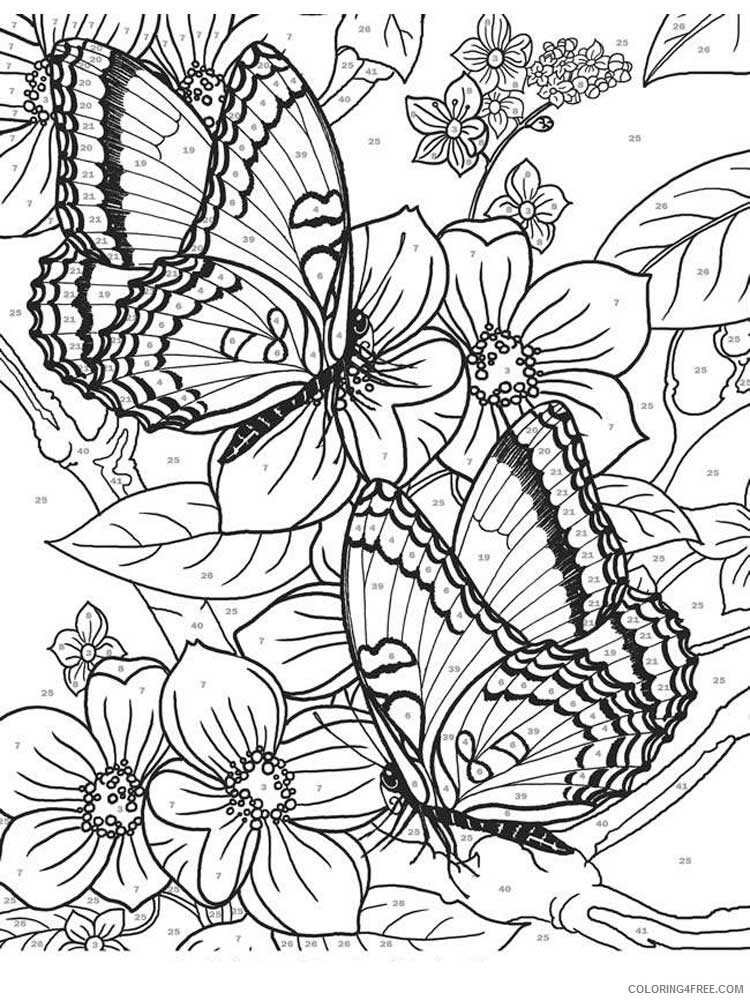 Butterfly for Adults Coloring Pages butterfly for adults 3 Printable 2020 543 Coloring4free