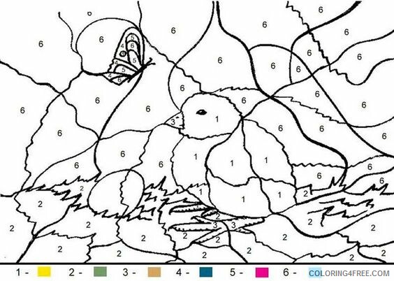 Color By Number Coloring Pages Educational Adult Birdnest Printable 2020 0989 Coloring4free