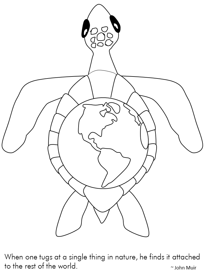 Earth Coloring Pages Educational turtle Printable 2020 1458 Coloring4free