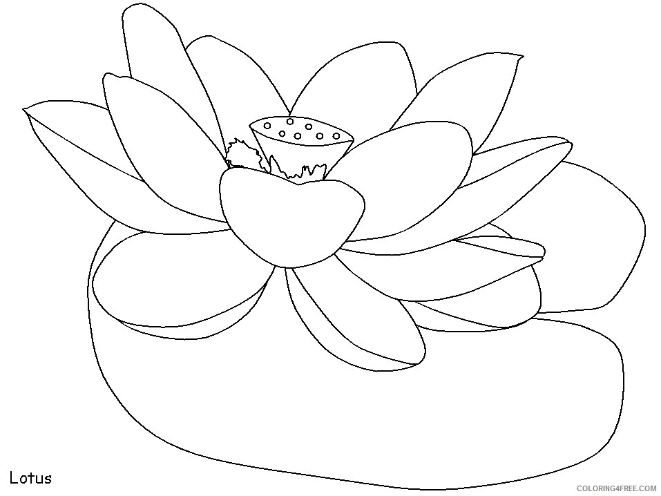 India Coloring Pages Countries of the World Educational lotus 2020 492 Coloring4free
