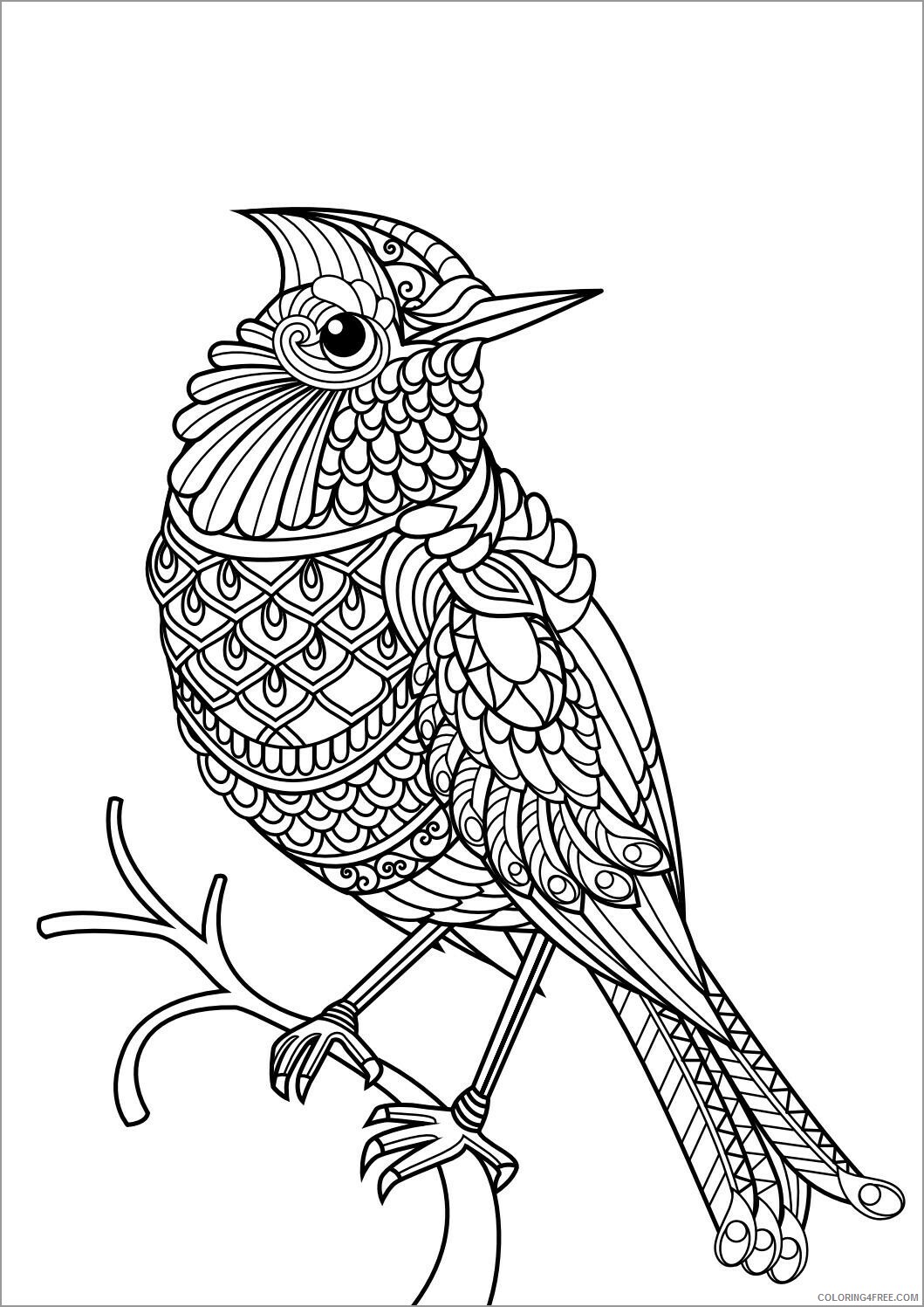 Mandala Coloring Pages Adult Animal Mandala Bird Printable 2020 514 Coloring4free Coloring4free Com