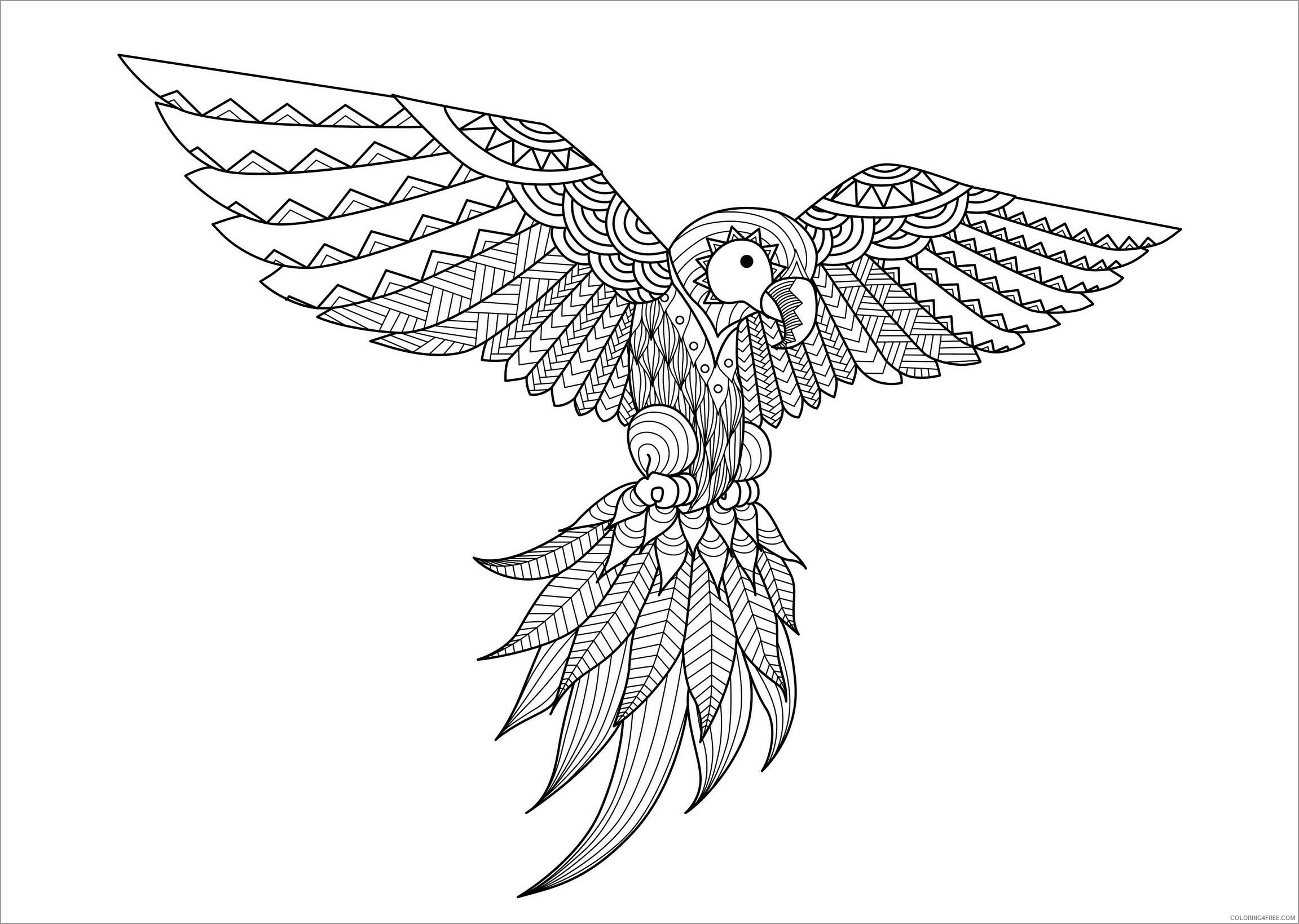 Mandala Coloring Pages Adult flying parrot for adults Printable 2020 618 Coloring4free