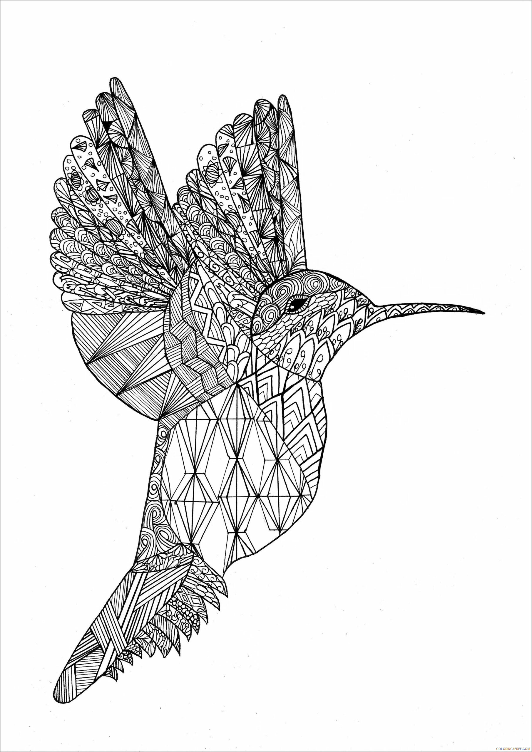 Mandala Coloring Pages Adult mandala hummingbird for adults Printable 2020 620 Coloring4free