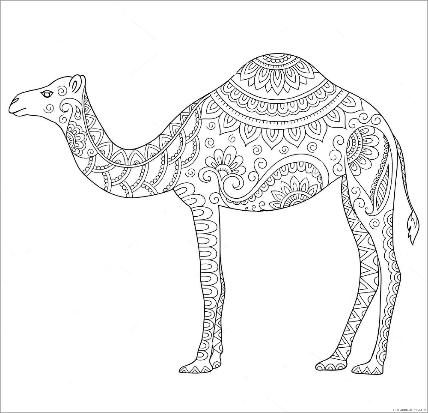 Mandala Coloring Pages Adult mandalas camel for adult Printable 2020 626 Coloring4free