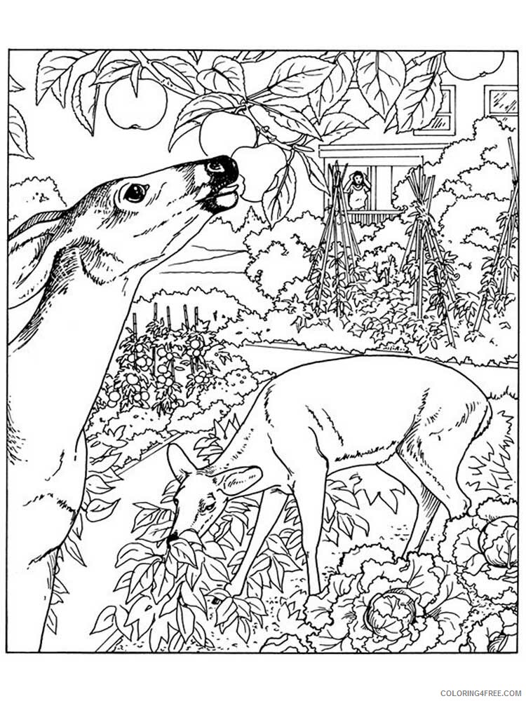 Nature Coloring Pages Adult nature for adults 11 Printable 2020 679 Coloring4free