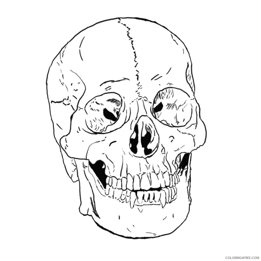 Skull for Adults Coloring Pages Free Skull For Kids Printable 2020 704 Coloring4free