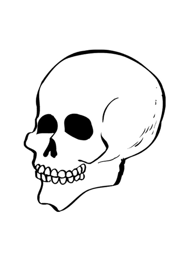 Skull for Adults Coloring Pages Skull Photos Printable 2020 718 Coloring4free