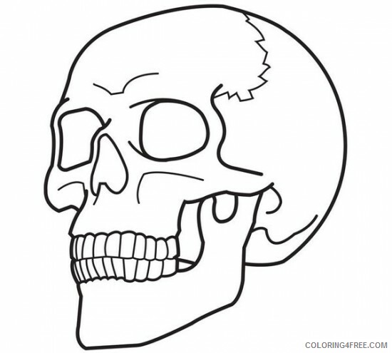 Skull for Adults Coloring Pages Skull Sheets for Kids Printable 2020 710 Coloring4free