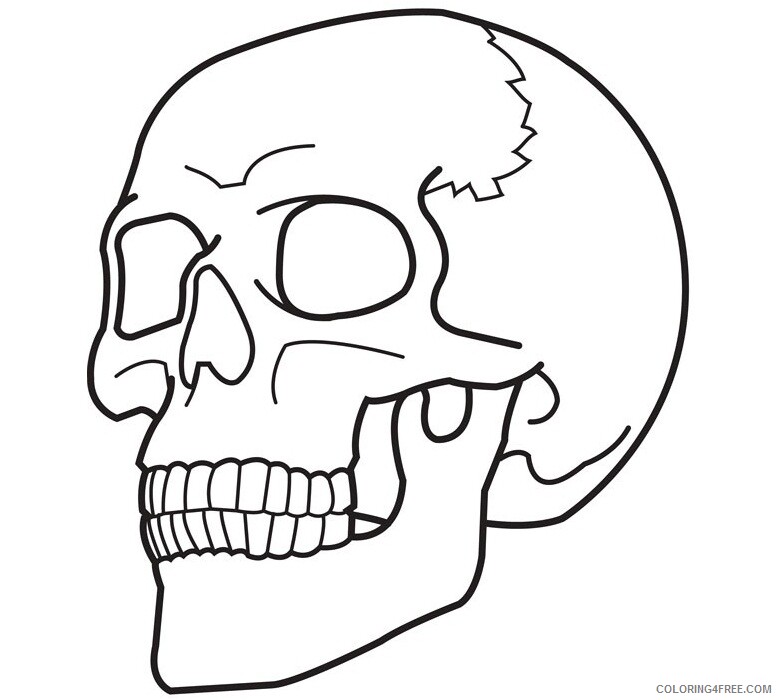 Skull for Adults Coloring Pages of Skull Printable 2020 693 Coloring4free