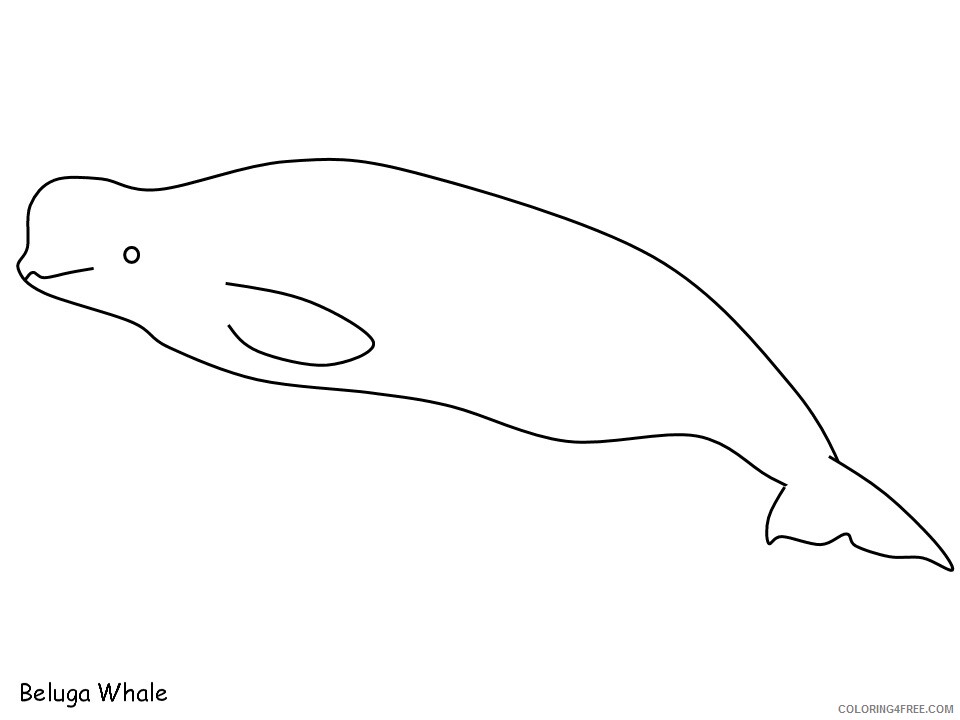 inuit Coloring Pages Countries of the World Educational beluga 2020 498 Coloring4free