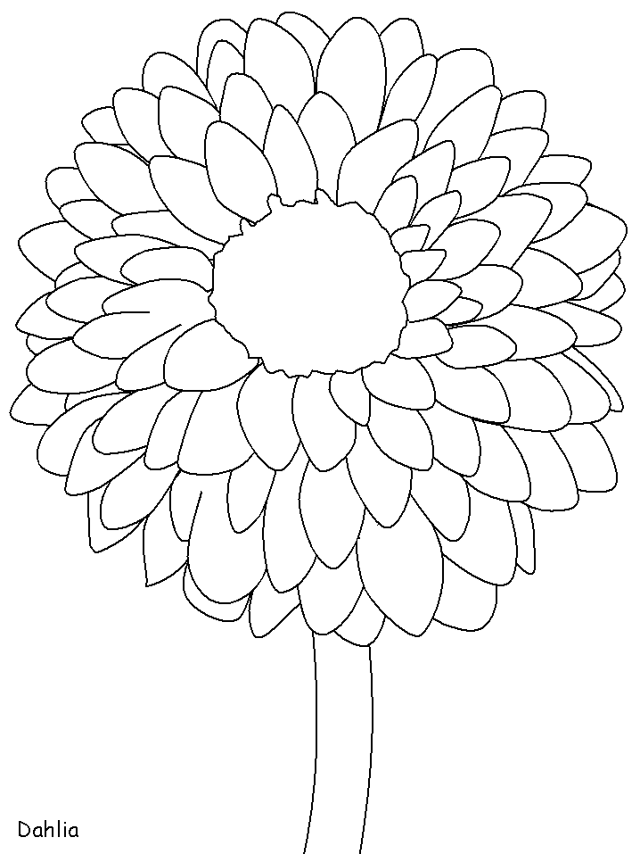 mexico Coloring Pages Countries of the World Educational dahlia Printable 2020 554 Coloring4free