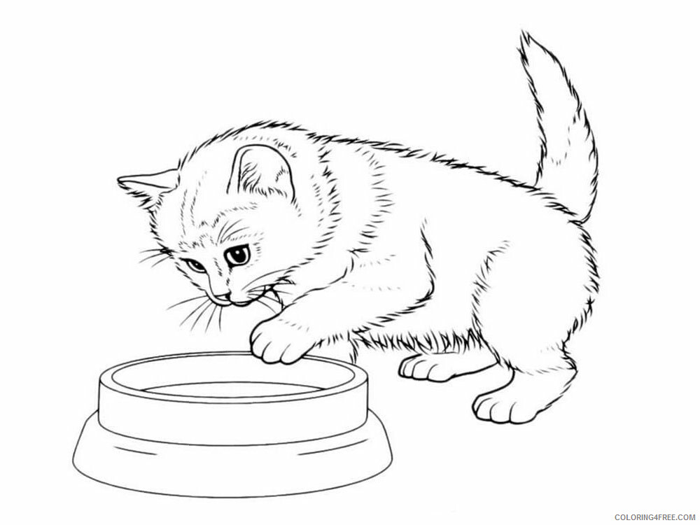 Cute Cats Coloring Pages for Girls cute cats 14 Printable 2021 0298 Coloring4free