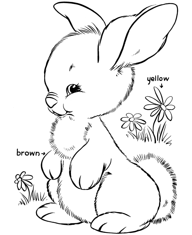 Easter Bunny Coloring Pages Holiday Easter Bunny Printable 2021 0435 Coloring4free