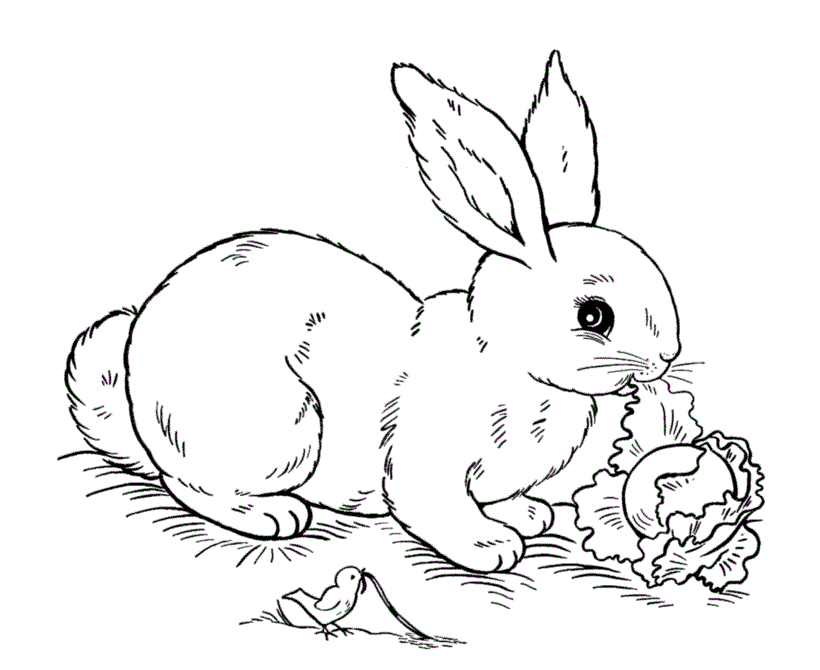 Easter Bunny Coloring Pages Holiday Eeaster Bunny Kids Printable 2021 0446 Coloring4free