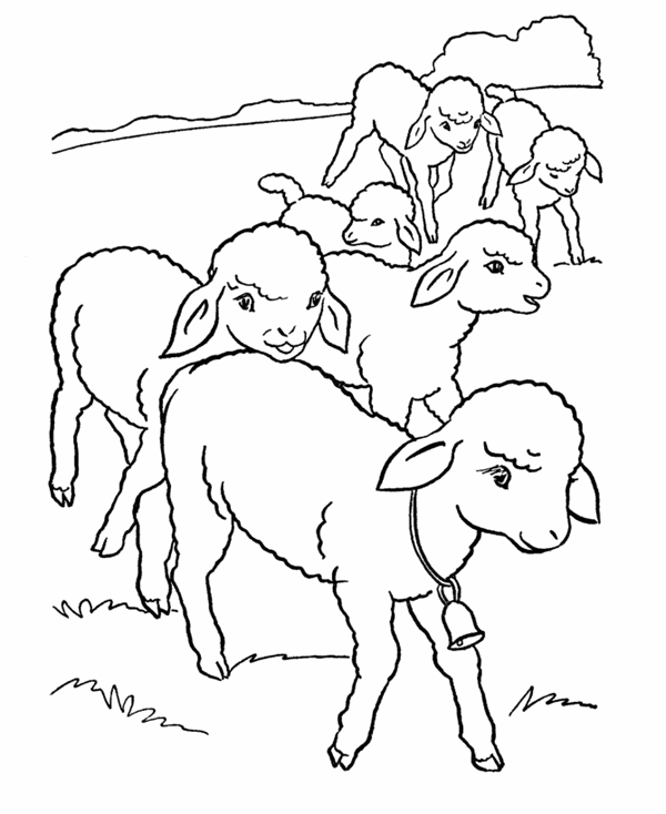 Farm Coloring Pages for Kids Farm Free Printable 2021 215 Coloring4free